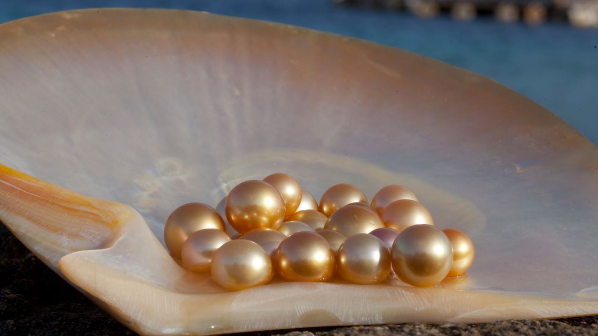 Burmese Pearls