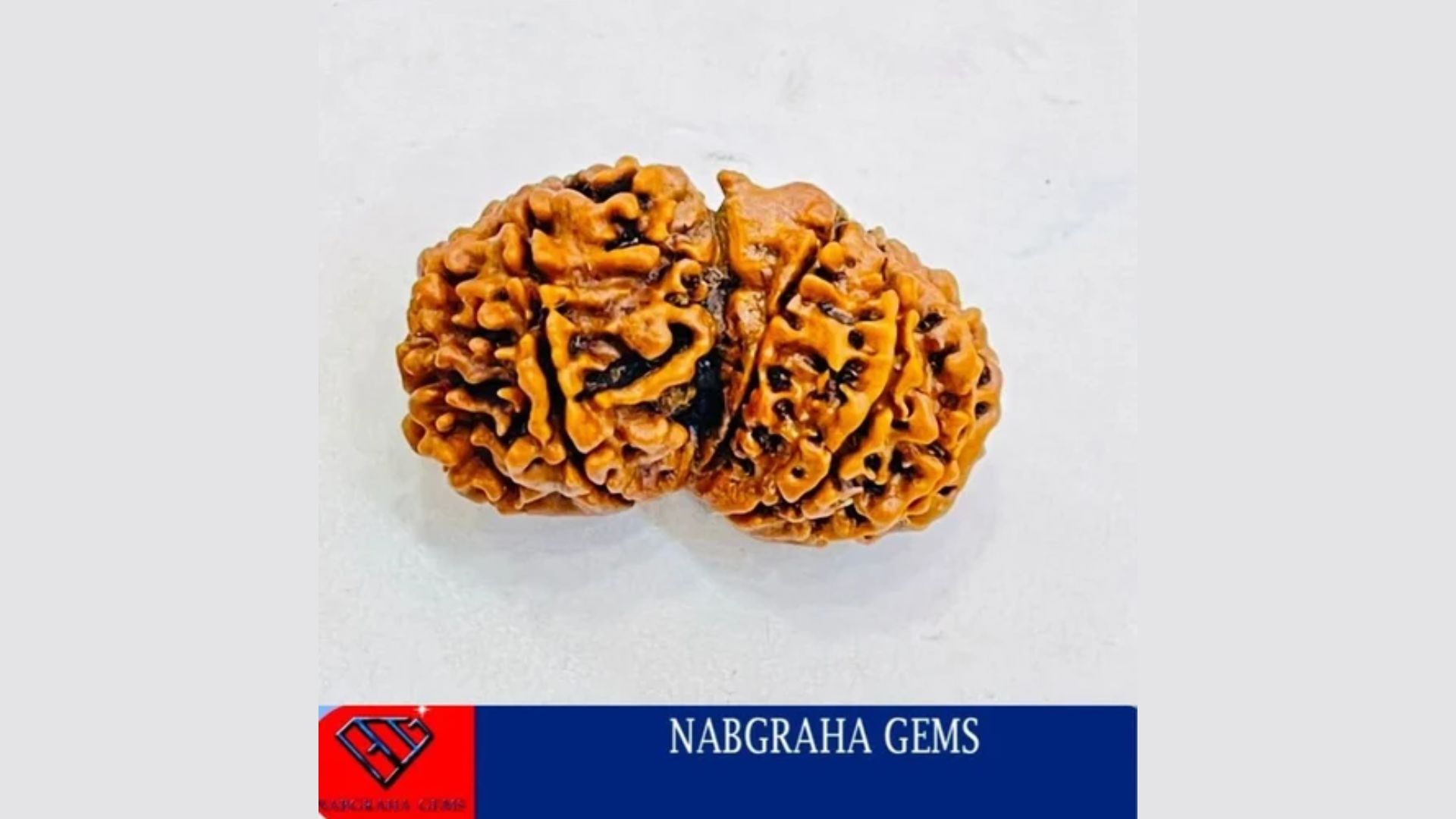 Rudraksha