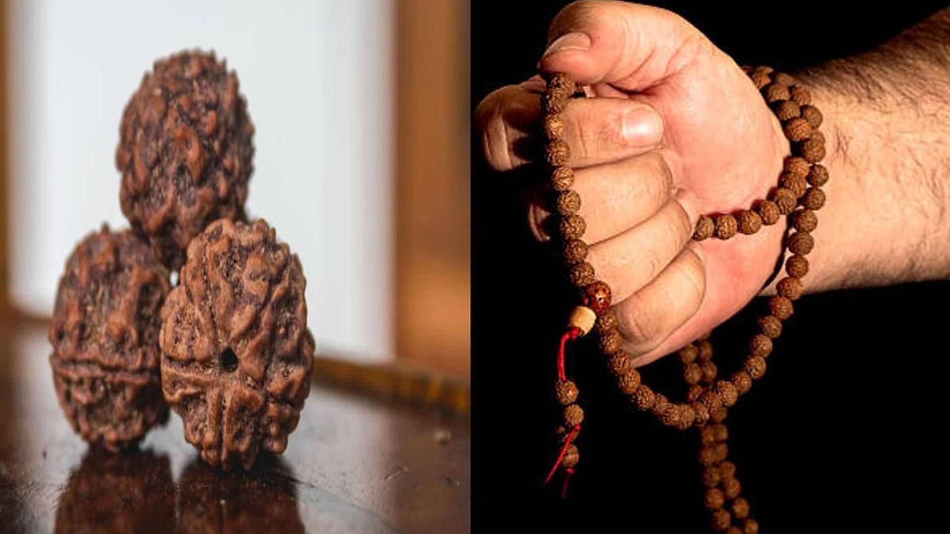 Power of Genuine Rudraksha