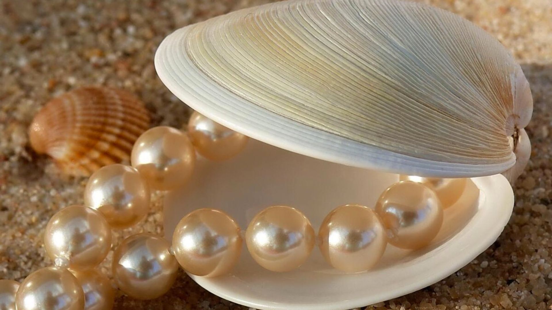 Burmese Pearls